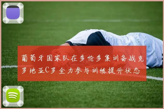 葡萄牙国家队在多伦多集训备战克罗地亚C罗全力参与训练提升状态